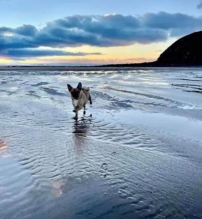 Lovely Coastal House In The Western Lake District Minimum 3 Night Stay St Bees Exteriör bild