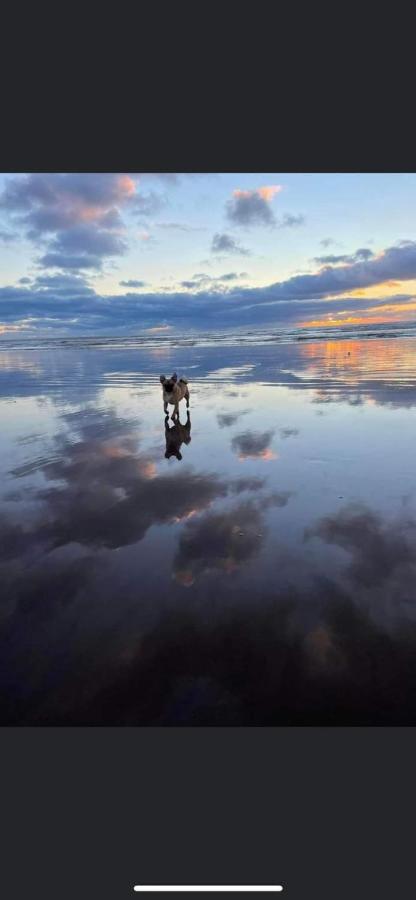 Lovely Coastal House In The Western Lake District Minimum 3 Night Stay St Bees Exteriör bild